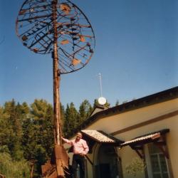 L'albero contadino (9.8 m di altezza -San Miniato - Toscana)